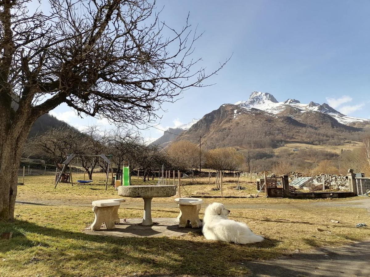 Aux D'Estaing Croises, Gite De Montagne Accessible A Tous Kültér fotó