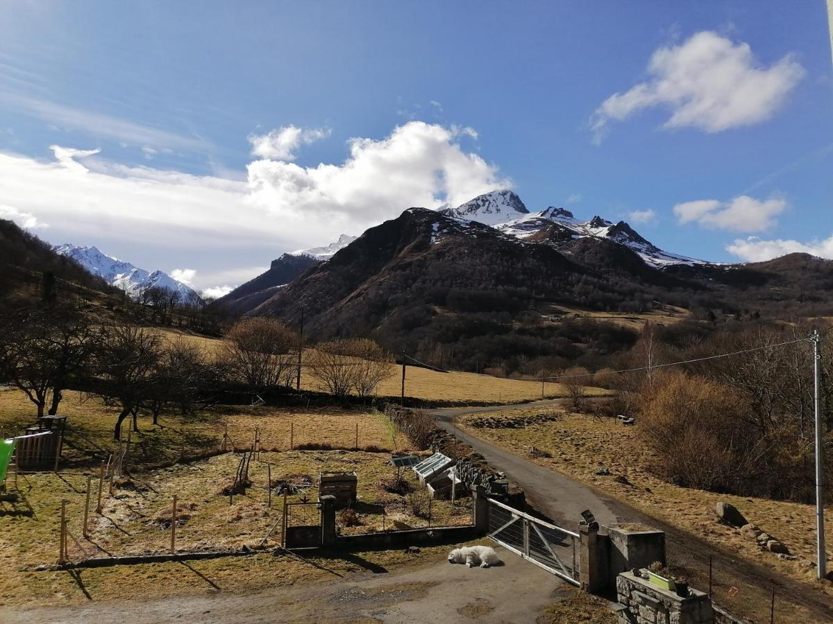 Aux D'Estaing Croises, Gite De Montagne Accessible A Tous Kültér fotó